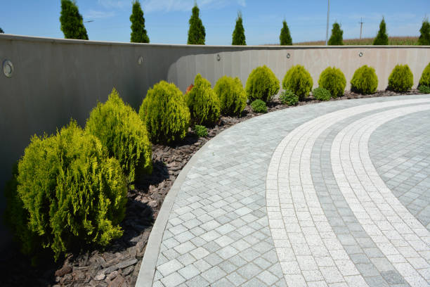 Best Driveway Paving Contractor  in Bethlehem Village, CT